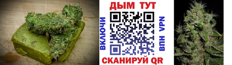 Canna-Cookies конопля сколько стоит Волчанск