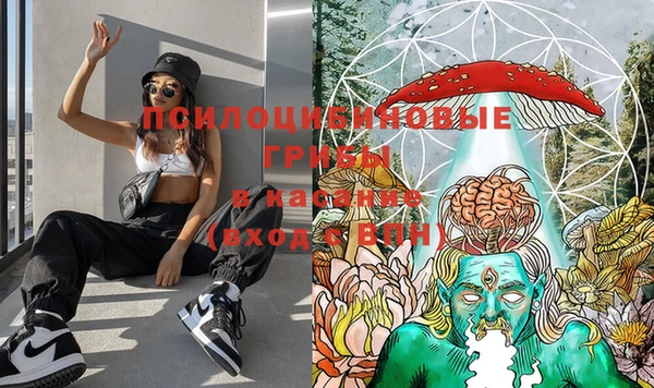 ECSTASY Белоозёрский