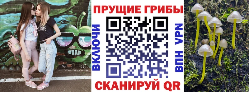 Псилоцибиновые грибы Cubensis  дарнет шоп  Волчанск 